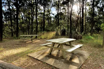 picnic tables in park