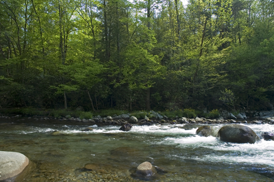 little pigeon river