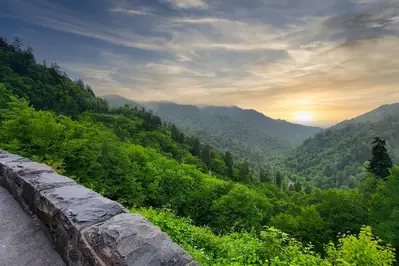 newfound gap road view