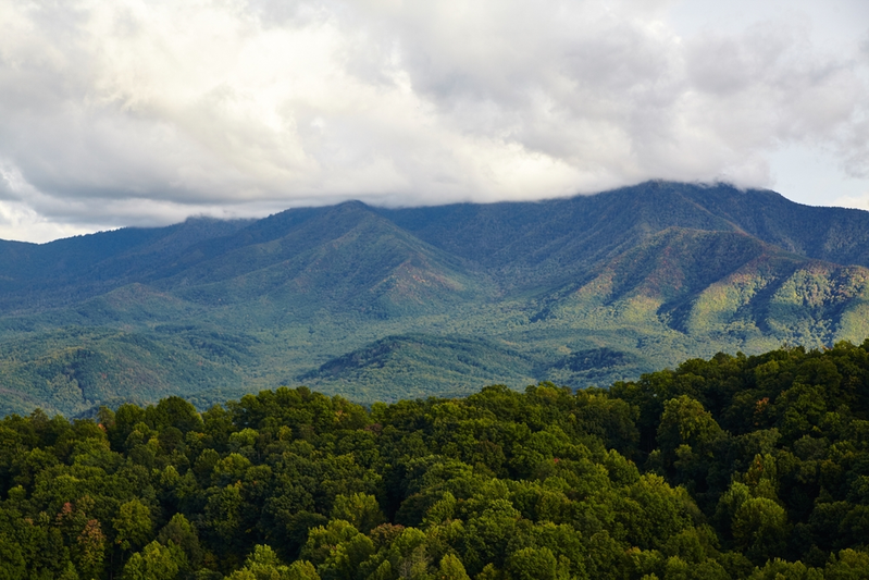 views of smoky mountains