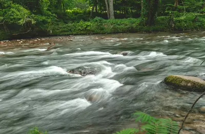 Smoky Mountain river