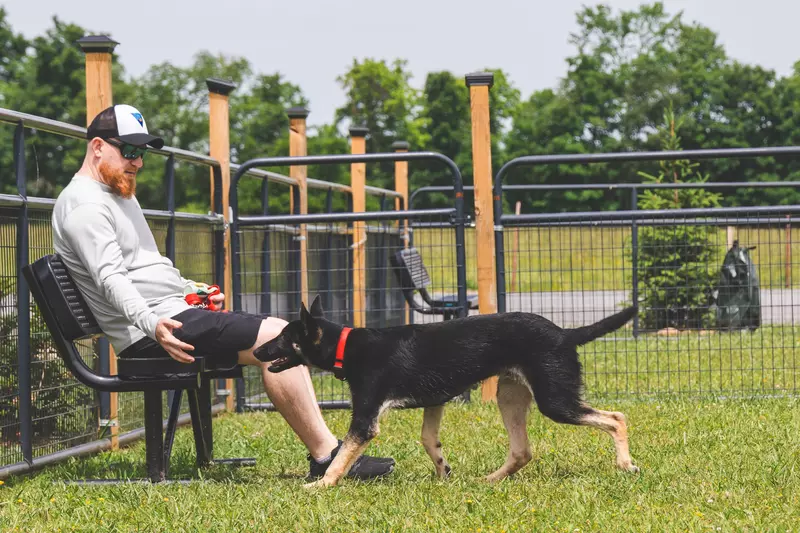 Man and dog at campground dog park