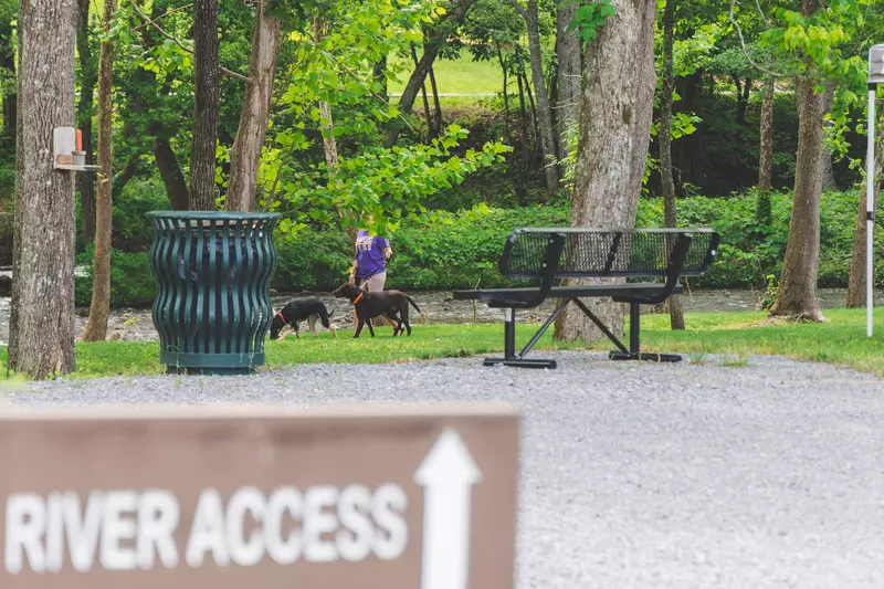 Person walking dogs at campground