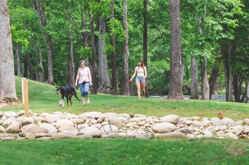 Campers walking their dog