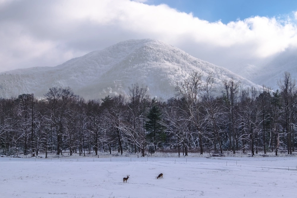 Smoky Mountains National Park winter
