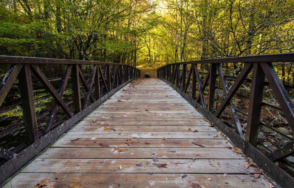 gatlinburg trail dog friendly smoky mountains
